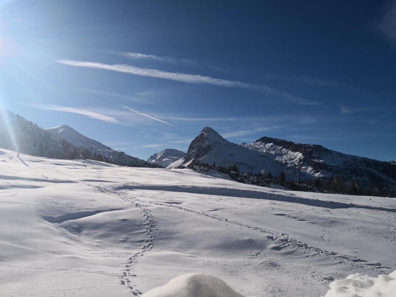 باسو روليه Hotel Alpenrose المظهر الخارجي الصورة